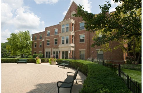 Lewis University